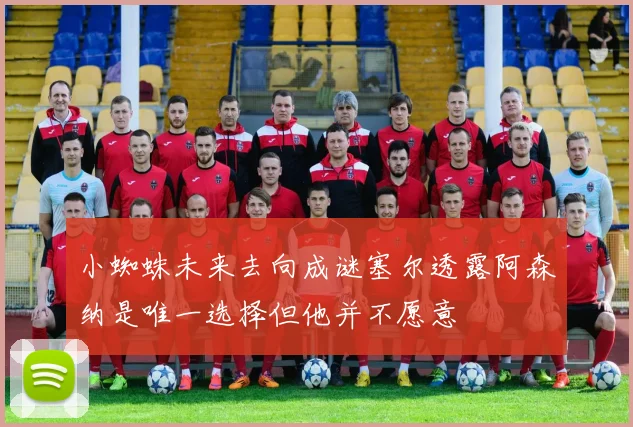 小蜘蛛未来去向成谜塞尔透露阿森纳是唯一选择但他并不愿意