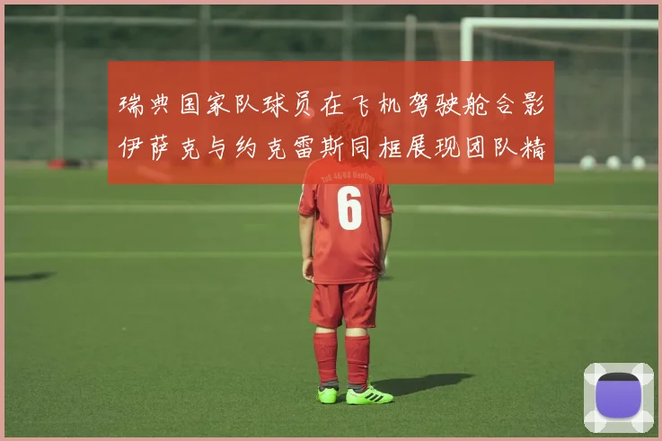 瑞典国家队球员在飞机驾驶舱合影伊萨克与约克雷斯同框展现团队精神