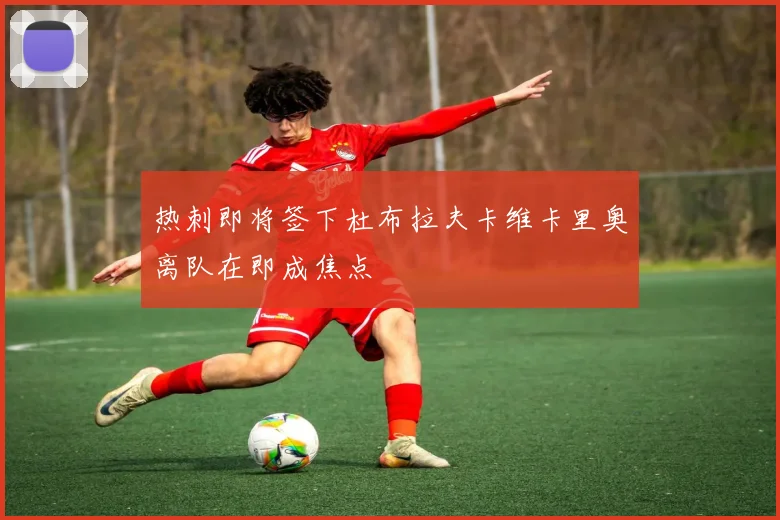 热刺即将签下杜布拉夫卡维卡里奥离队在即成焦点